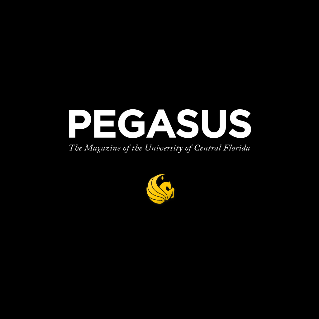 research papers pegasus research papers pegasus